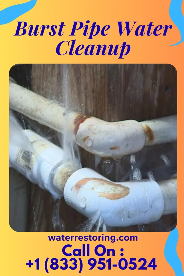 Burst Pipe Water Cleanup in Dell, AR