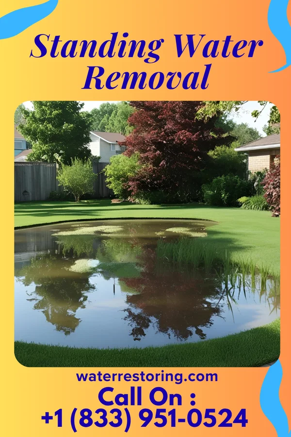 Standing Water Removal in Dell, AR